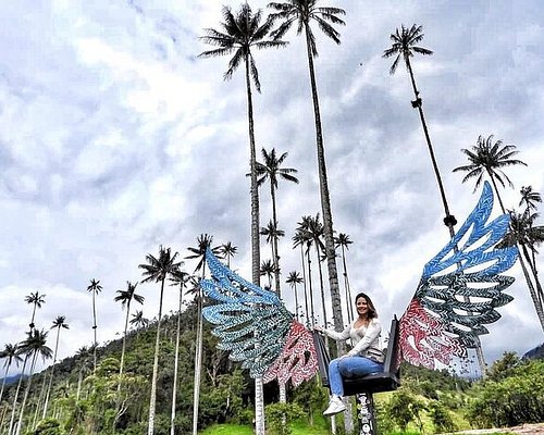 Caption Conoce Magdalena