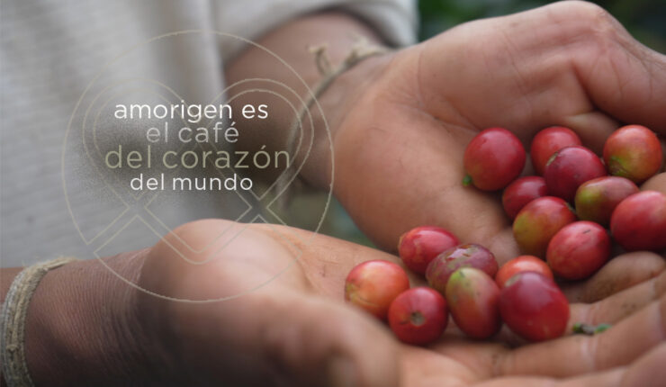 323411695 6128806920472344 7529837995897082005 N Conoce Magdalena