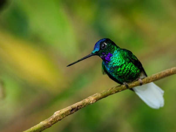 Sierra Nevada De Santa Marta Colombia 23 © Tristan Quevilly 600X450 1 Conoce Magdalena