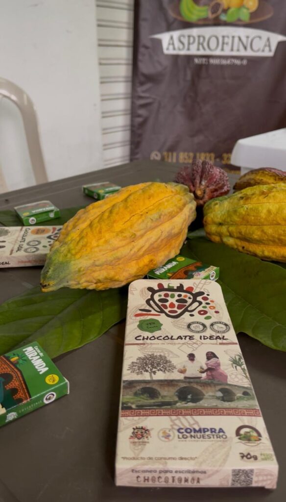 Whatsapp Image 2025 10 18 At 12.58.16 Am 2 Conoce Magdalena