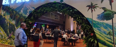 Ztupxdxl2Jbtpbowjntcrgsqgi Conoce Magdalena