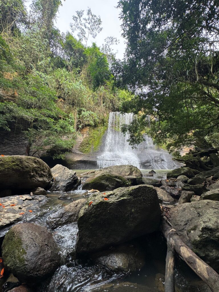 Whatsapp Image 2026 03 18 At 12.43.23 Pm Conoce Magdalena