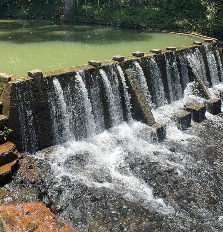 Whatsapp Image 2026 03 18 At 12.44.34 Pm Scaled E1773876778802 Conoce Magdalena