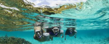 Cristal 5 Conoce Magdalena